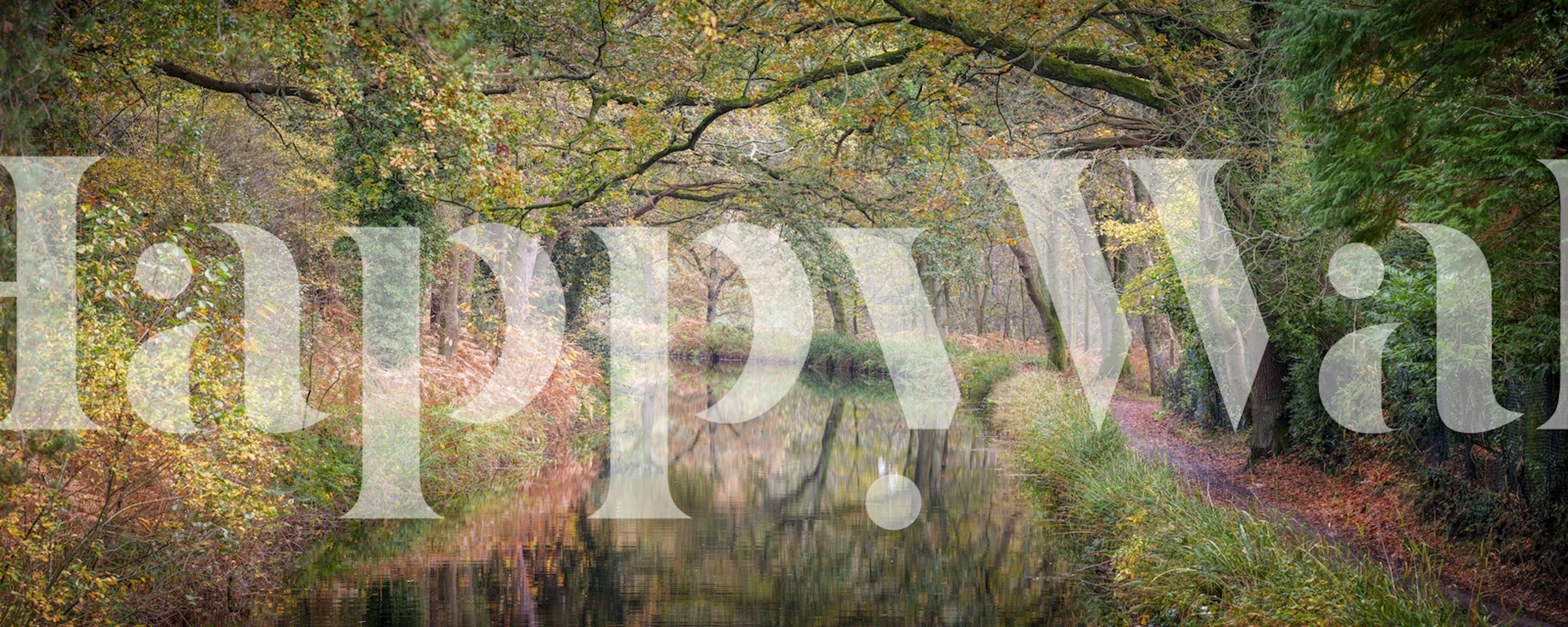 Nature scenery featuring an autumn canal with trees and foliage wallpaper