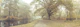 Misty Canal