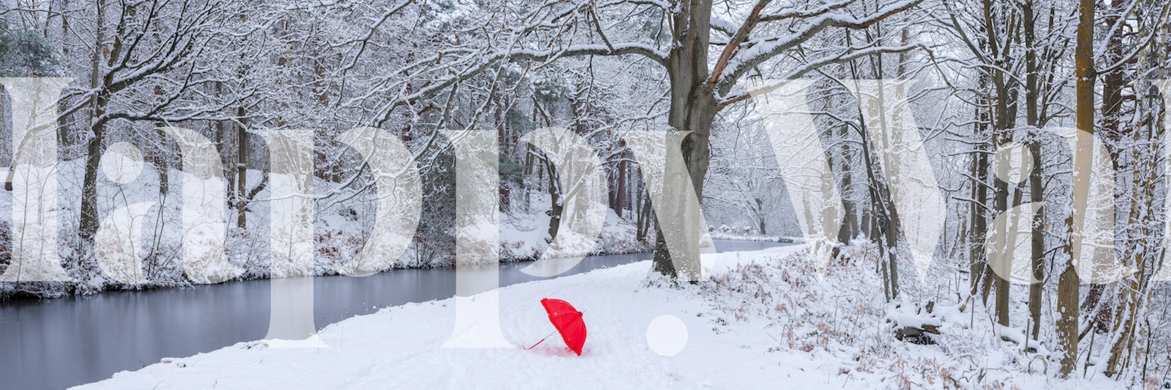 Umbrella in wonderland wallpaper in a room