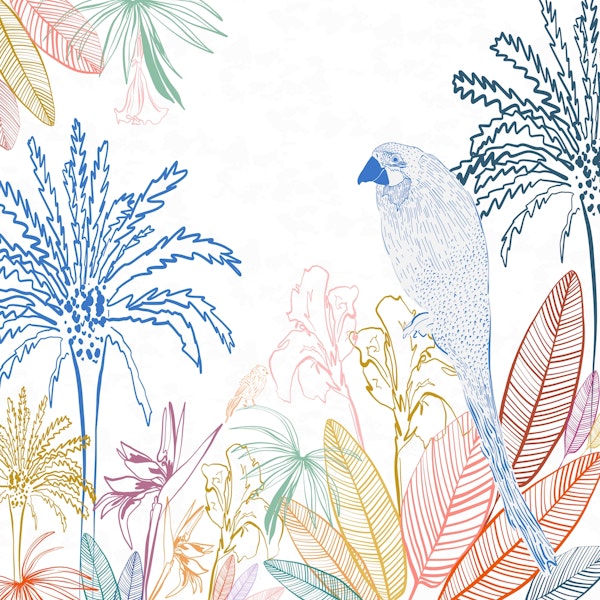 Tropical Macaw Bird Big Color