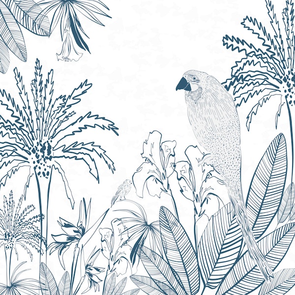 Tropical Macaw Bird Big Bright