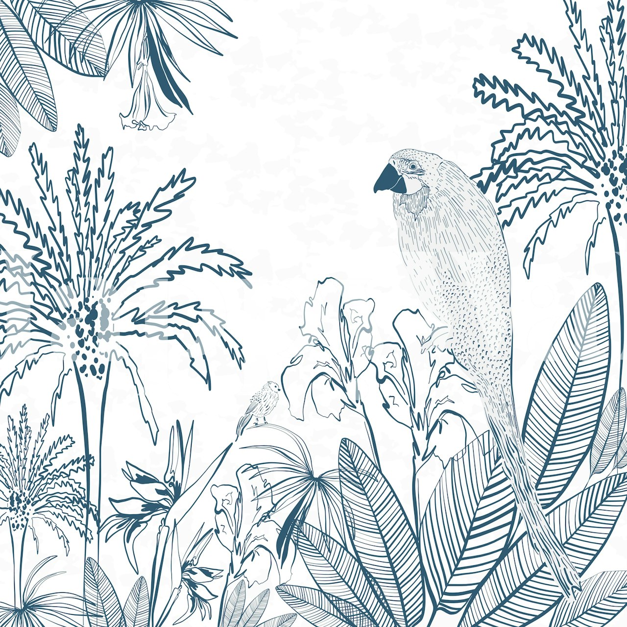 Tropical Macaw Bird papel de parede exibido em um quarto