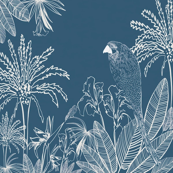 Tropical Macaw Bird Big Dark