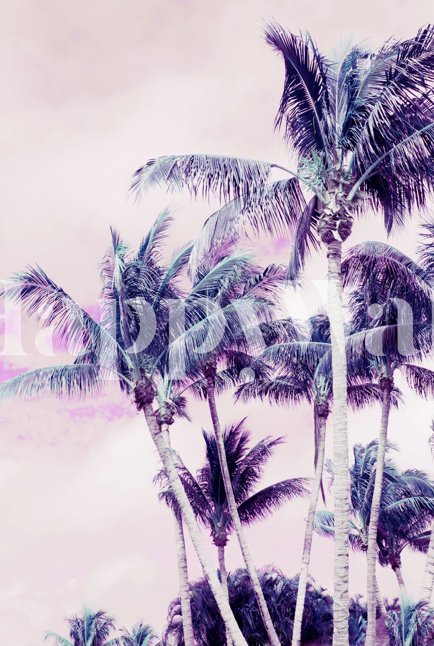 Palm Trees Finesse 4 Tapete in einem Raum