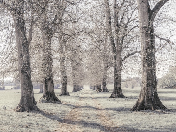 The Allure of a Quiet Path