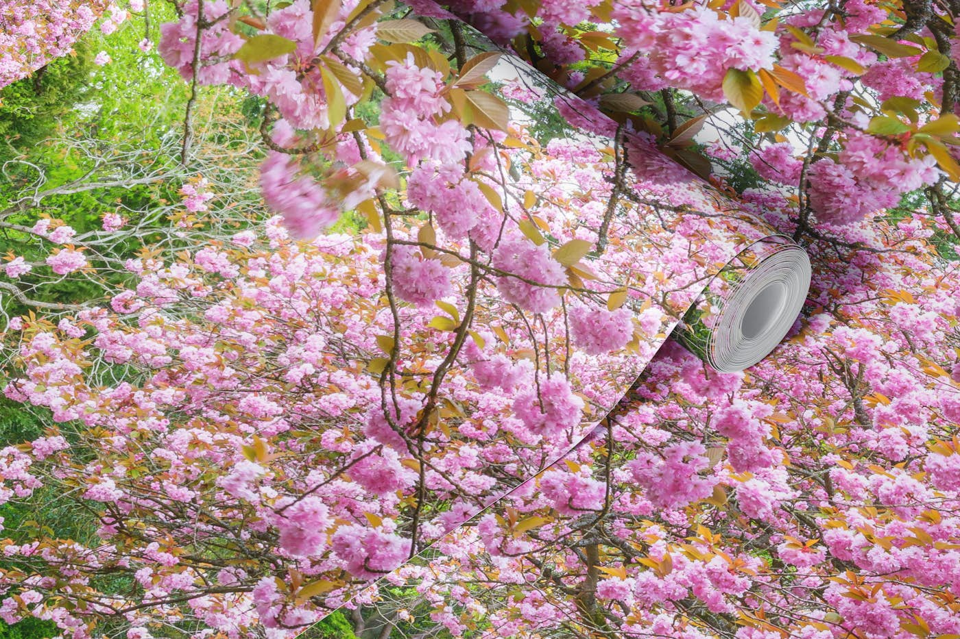 Blossoms Adorn the Park wallpaper roll