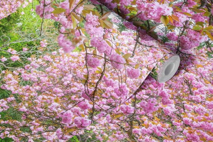 Blossoms Adorn the Parkwallpaper roll