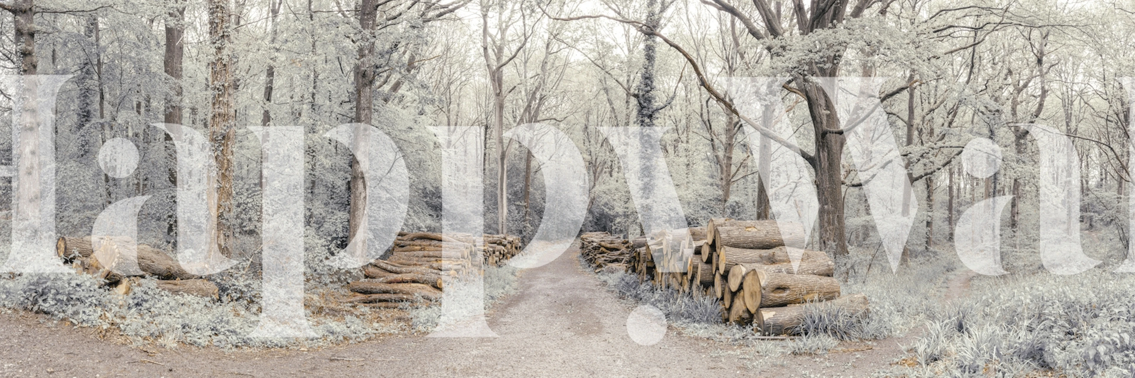 Woodland Chronicles wallpaper design in a room