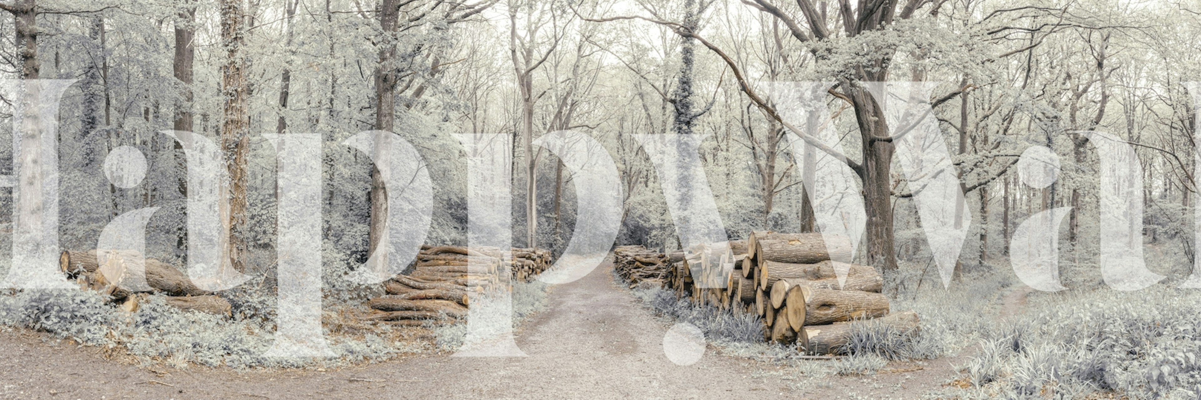 Woodland Chronicles tapettimuotoilu huoneessa