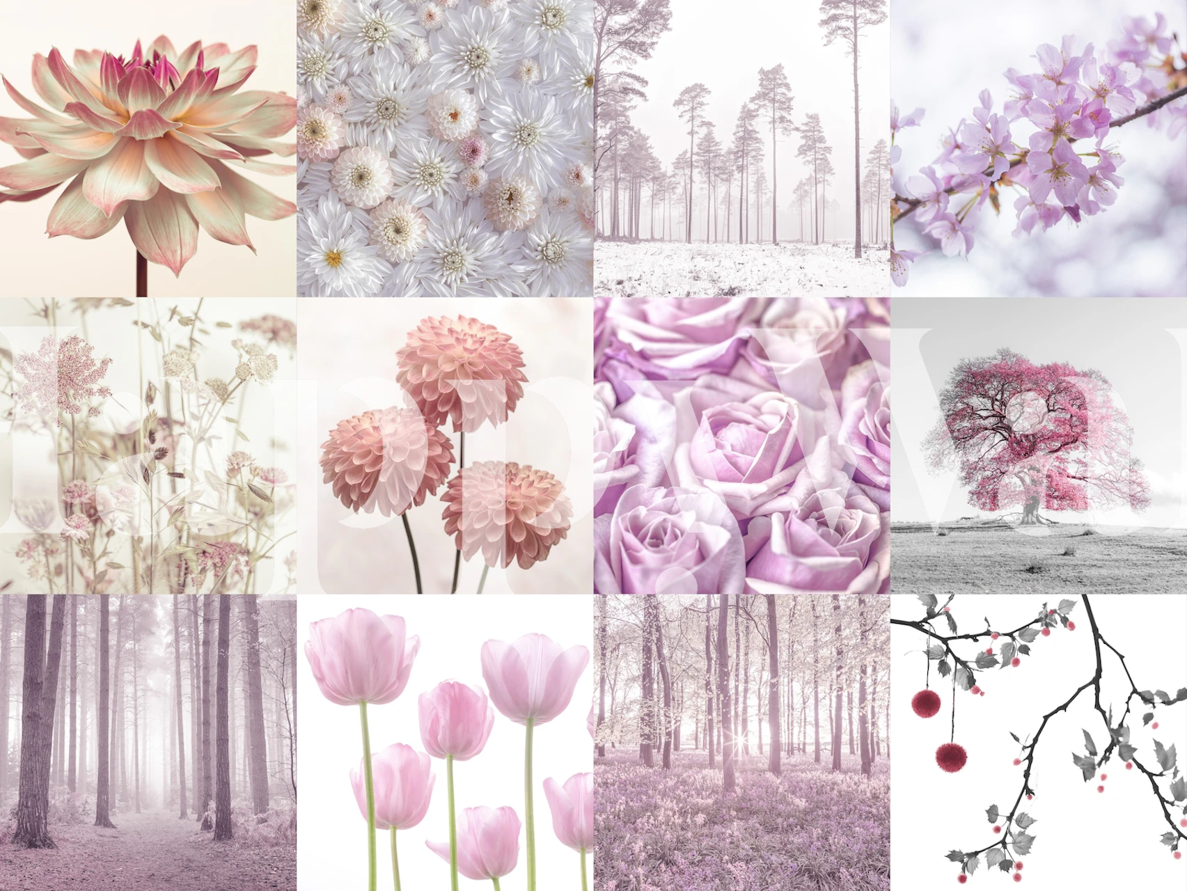 Pink floral motifs with soft pastel hues wall mural