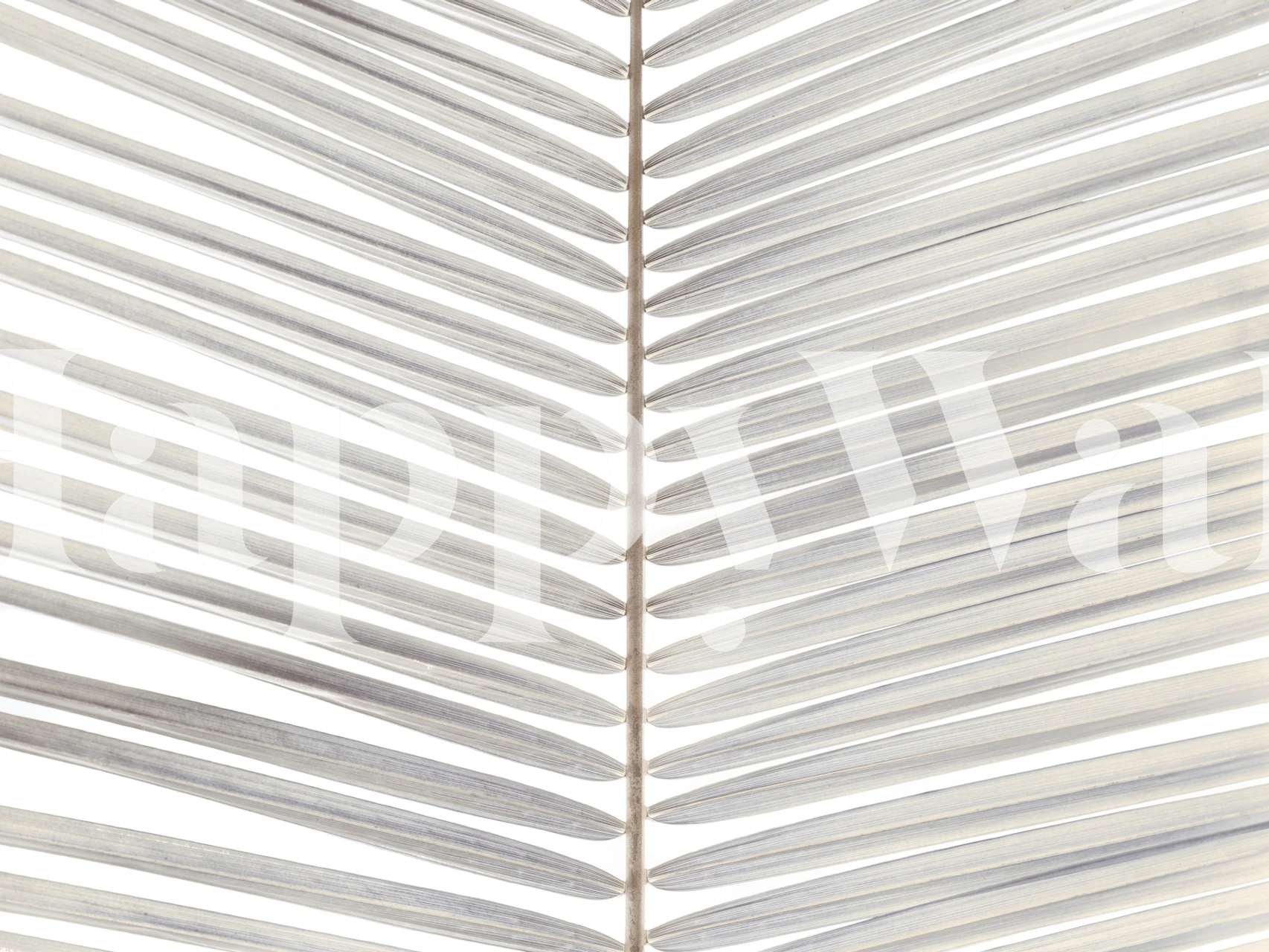 Leafy pattern with grey tones on a white background wallpaper