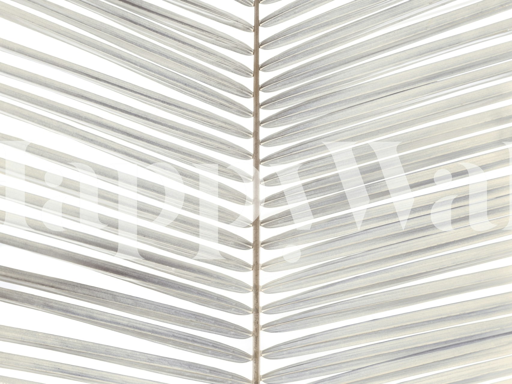 Papier peint mural à motif de feuilles subtil avec un doux contraste d'ombre et de lumière, accentuant un thème apaisant de la nature