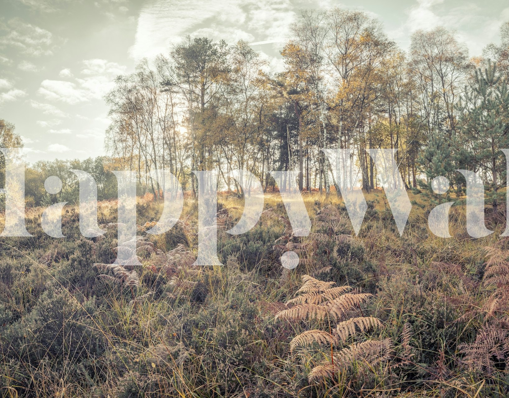 Foliage Fantasy wallpaper in a room