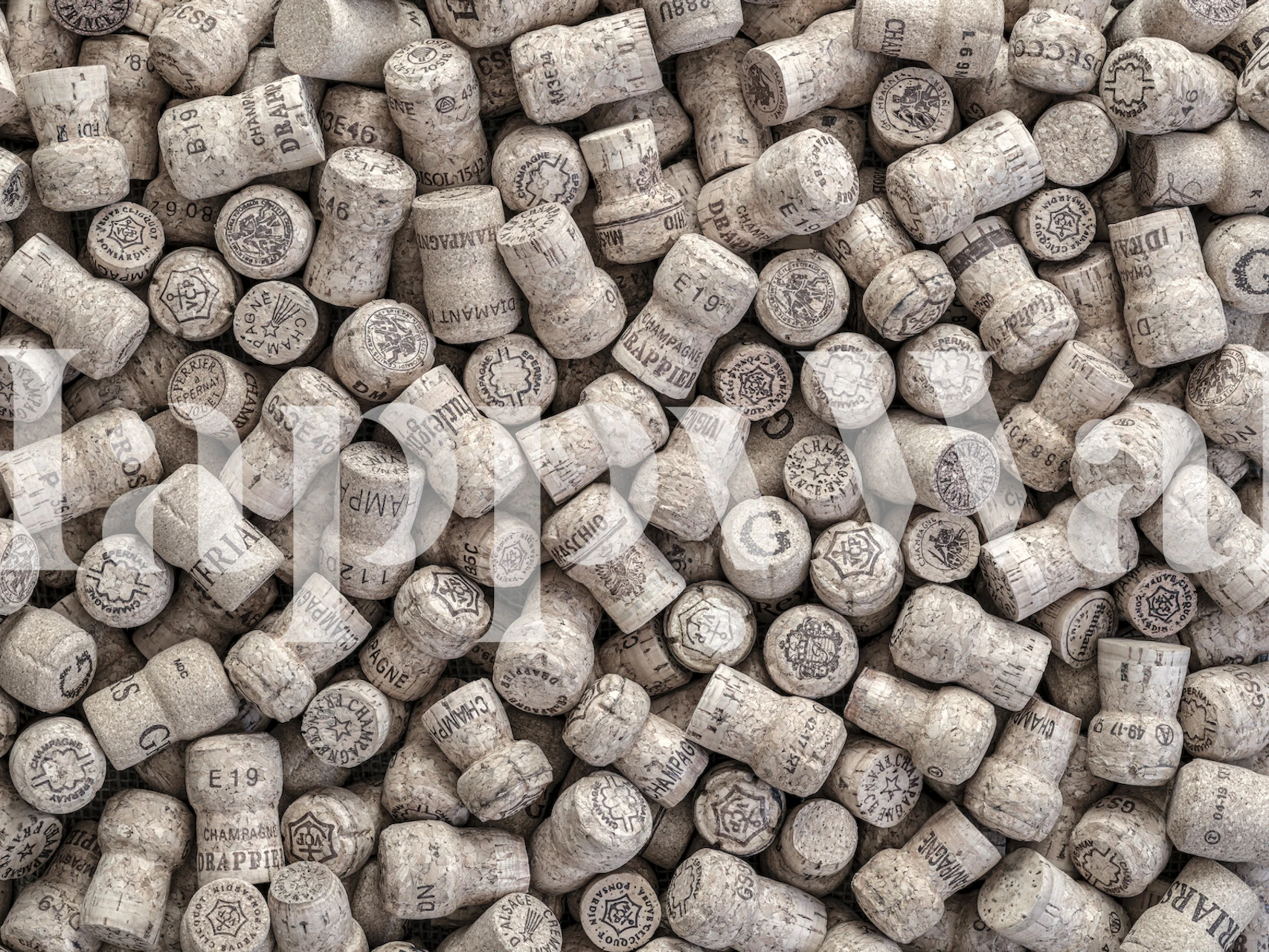 The good life wallpaper design in a room