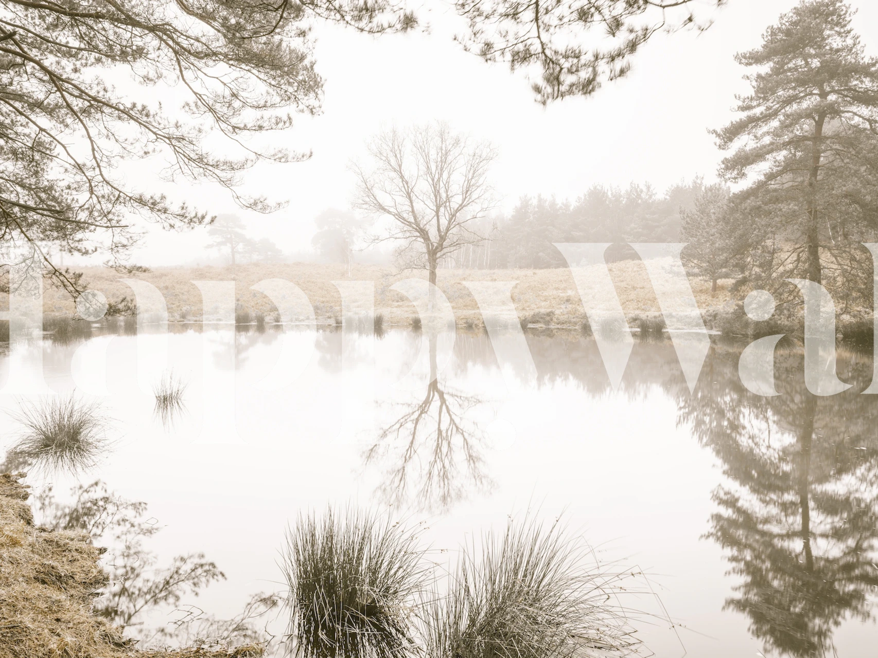Misty trees reflected in a calm lake, soft gray and beige tones wallpaper