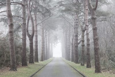 Τοιχογραφία