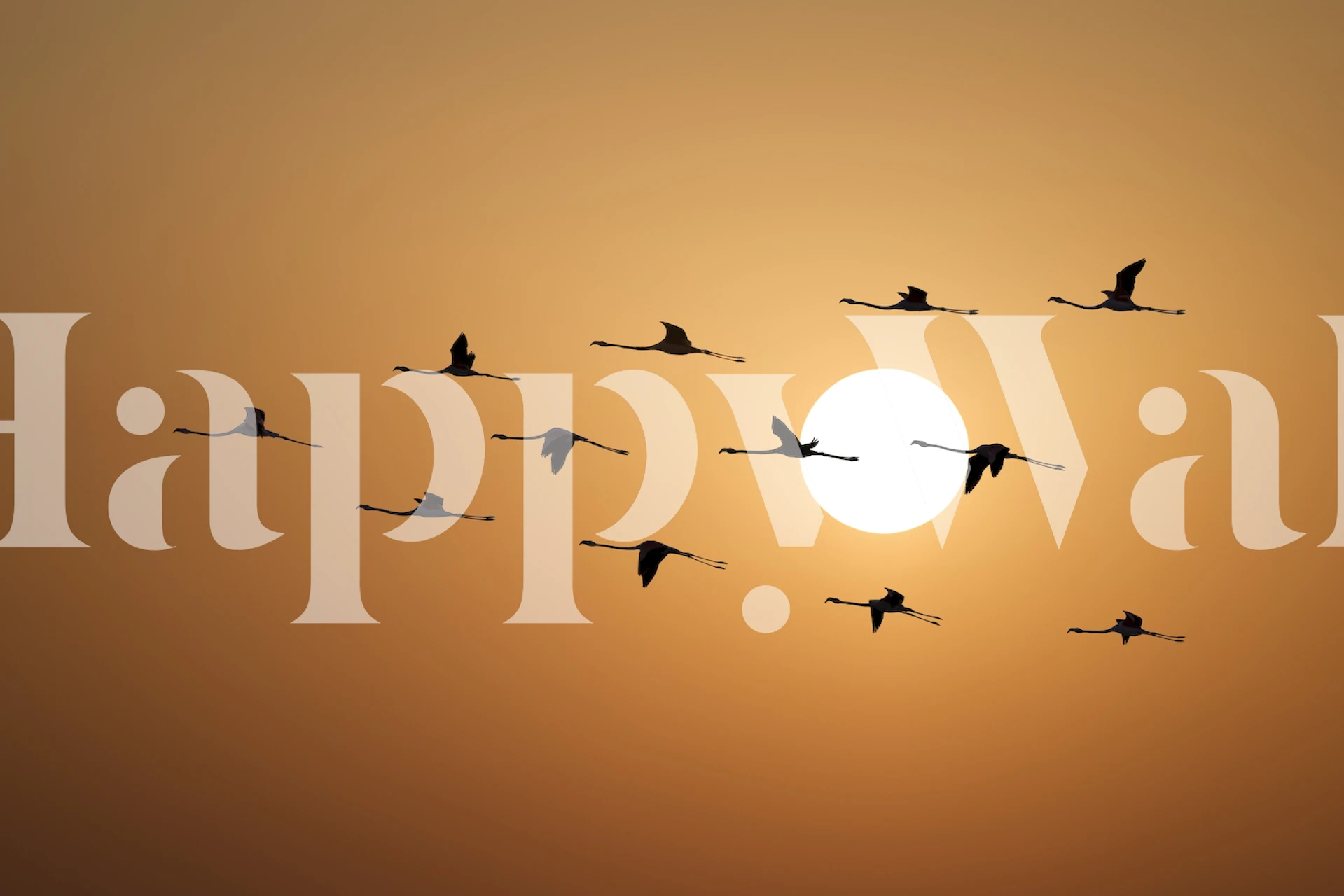 Silhouettes of flamingos against a warm orange sunset wallpaper