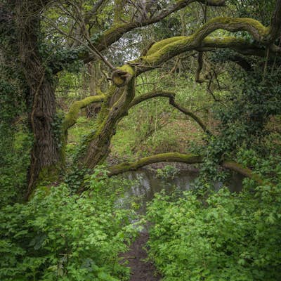 Τοιχογραφία