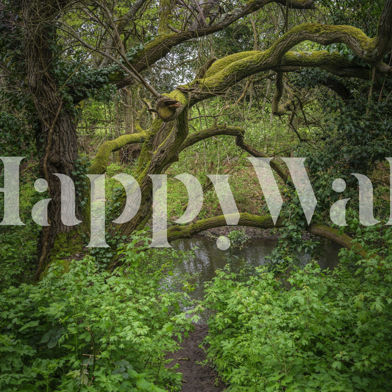 A World in Green wallpaper in a room