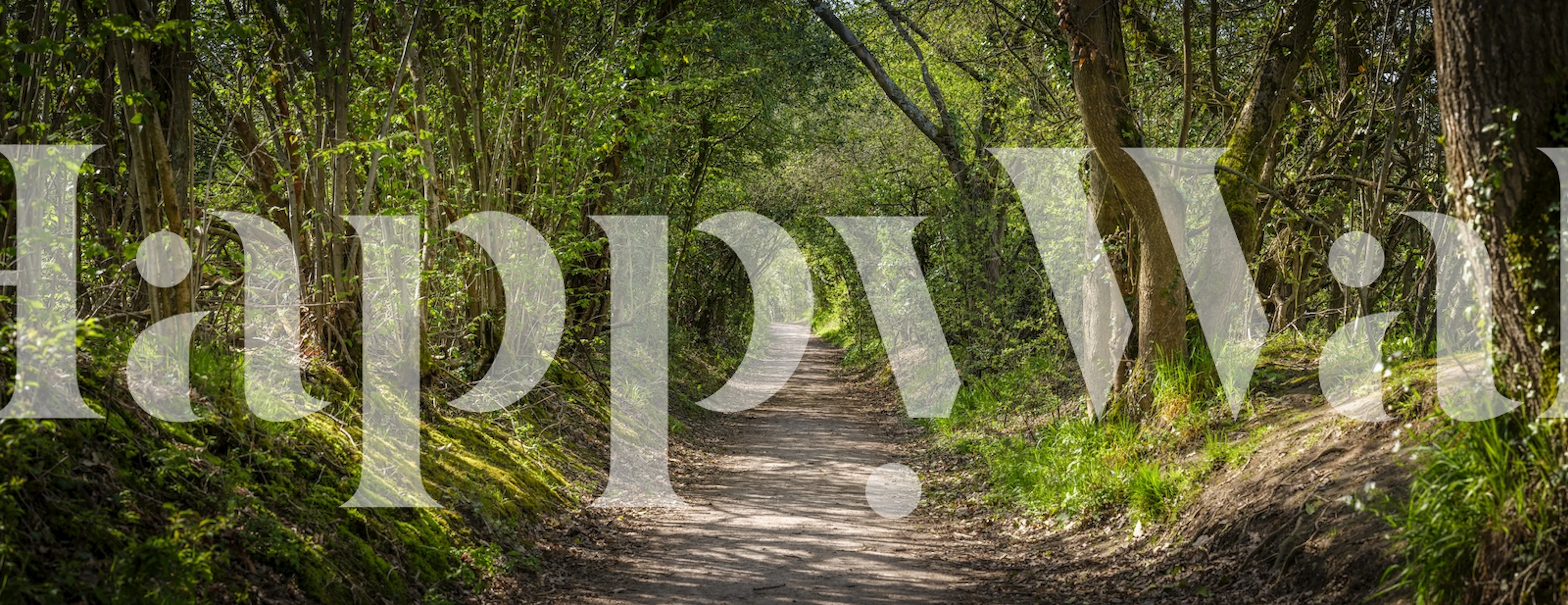 Tapeta inspirovaná přírodou se klidnou The Road Less Taken