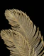 Palm Leaves Finesse 1