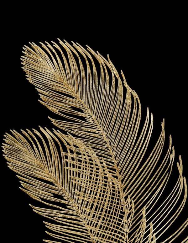Palm Leaves Finesse 1