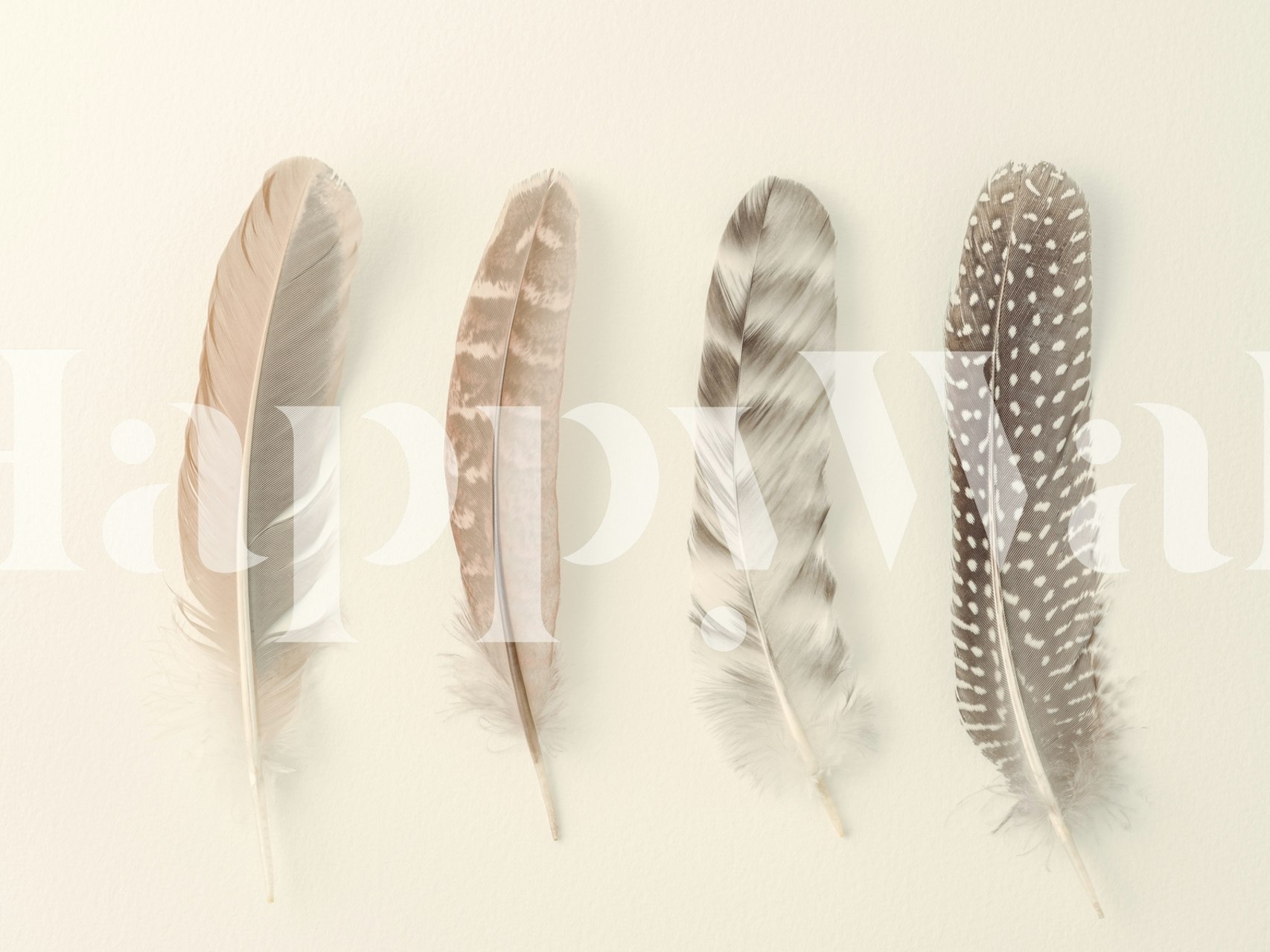 Feather wallpaper design in a room