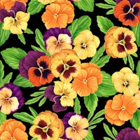 Pansies on black carta da parati