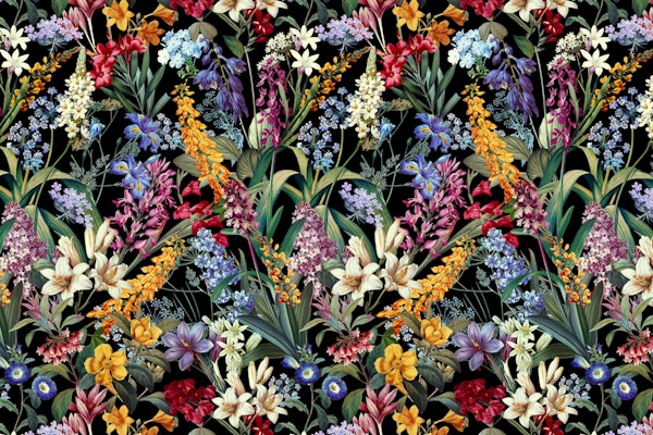 Isolated Blooms II Night