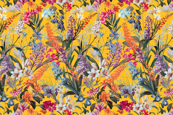 Isolated Blooms II Summer