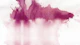Magenta Rain