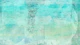 Boho Brush