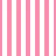 Baby Doll Pink Stripes