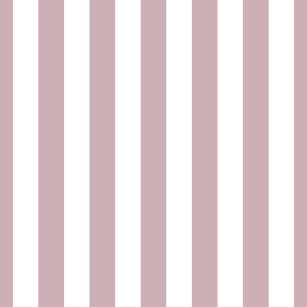 Delicate Rose Gold Stripes