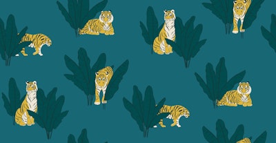 Pattern
