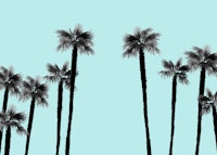 Minimal Black White Palms 2 wallpaper
