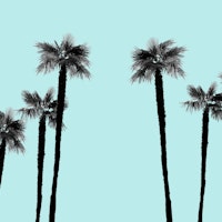 Minimal Black White Palms 2 wallpaper