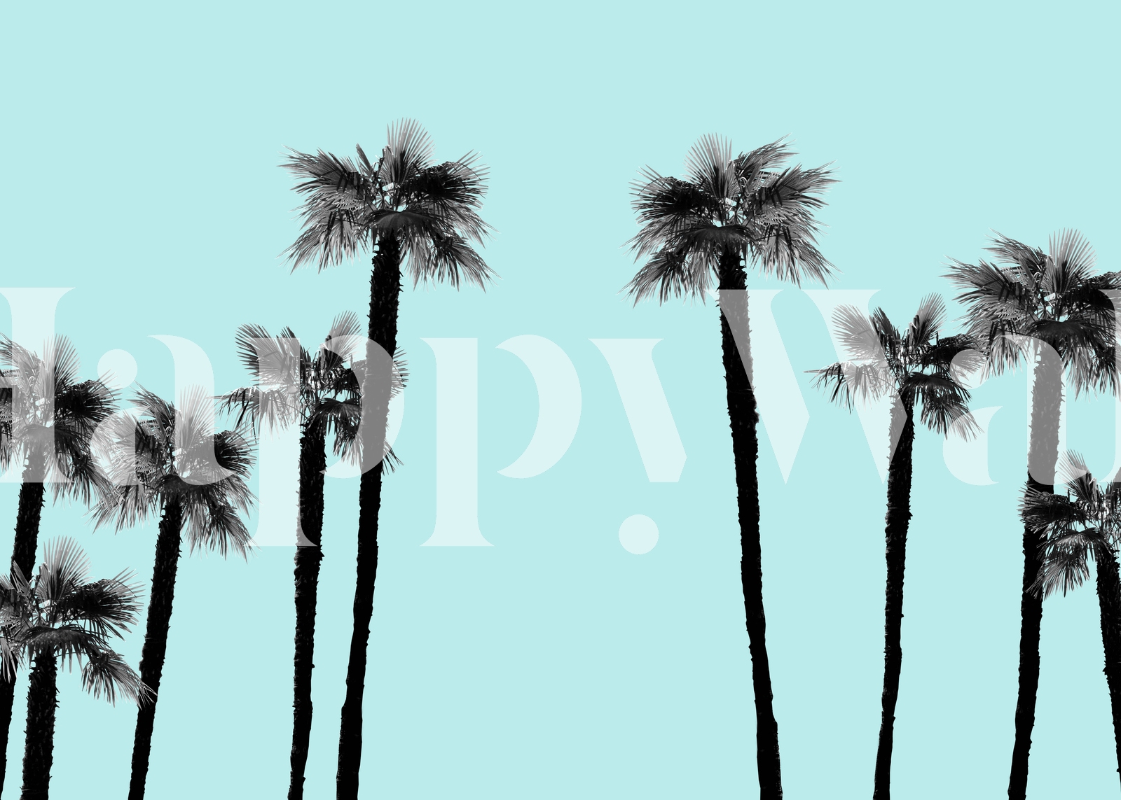 Minimal Black and White Palms 2 Wallpaper | Happywall