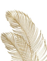 Palm Leaves Finesse 2 tapete