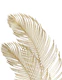 Palm Leaves Finesse 2