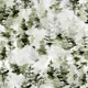 Winter Snowy Forest Trees