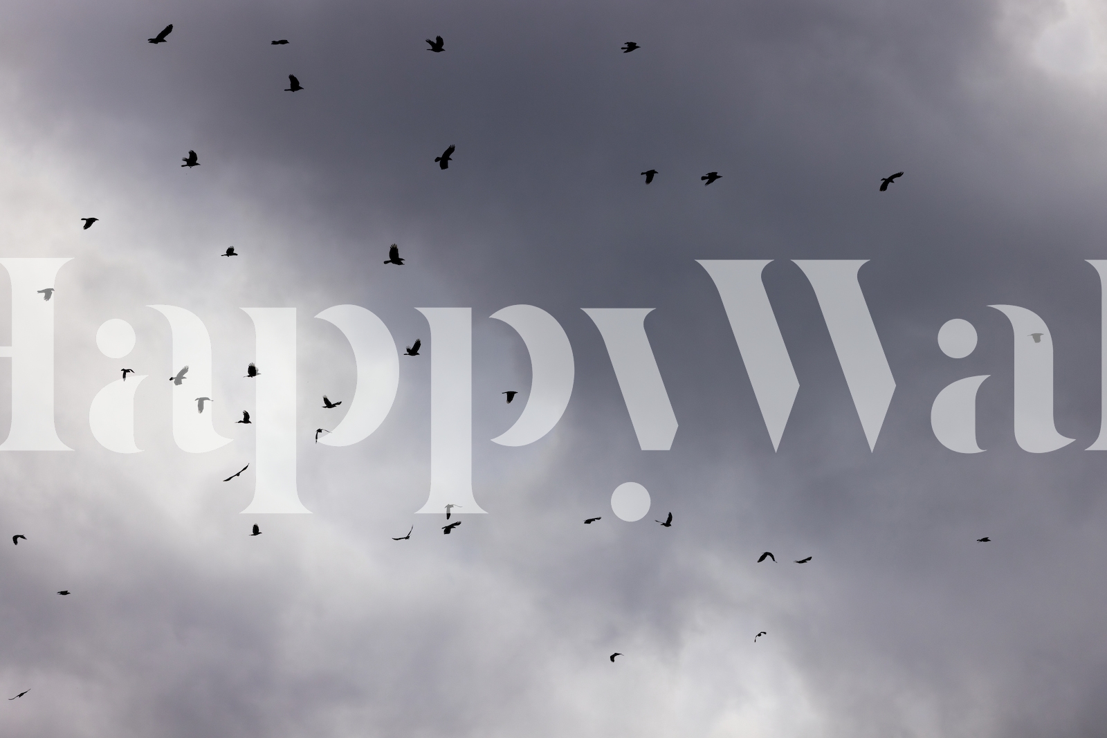 Birds and Clouds Wallpaper | Buy Online at Happywall