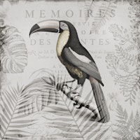 Toucans Tropical Paradise Grey tapete