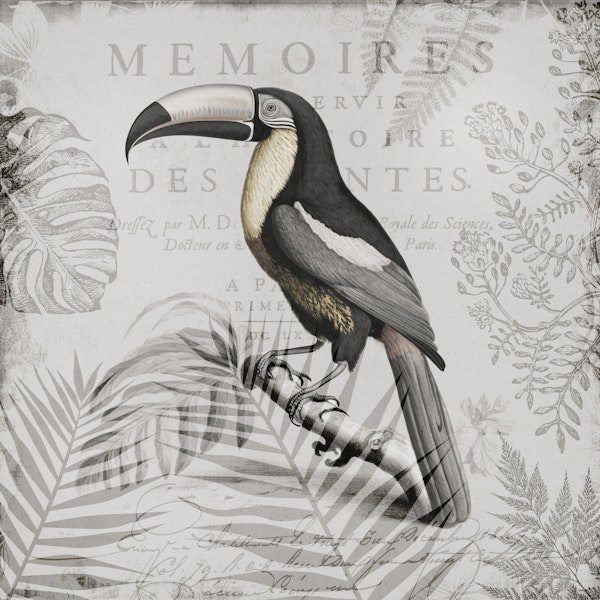Toucans Tropical Paradise Grey