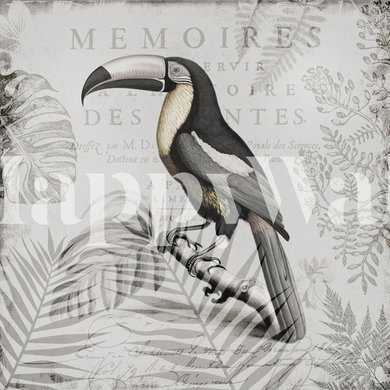 Tropical toucan with palm leaves and gray background wallpaper