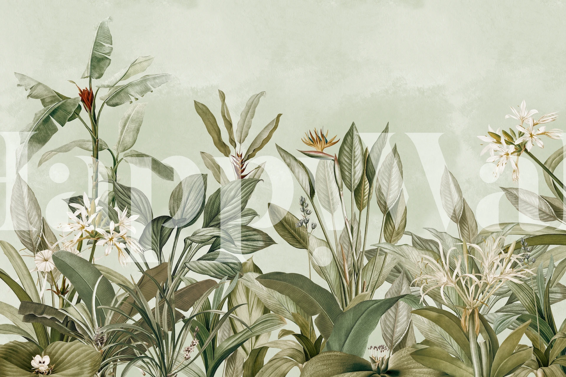 Exotic Vintage Garden tapetti huoneessa