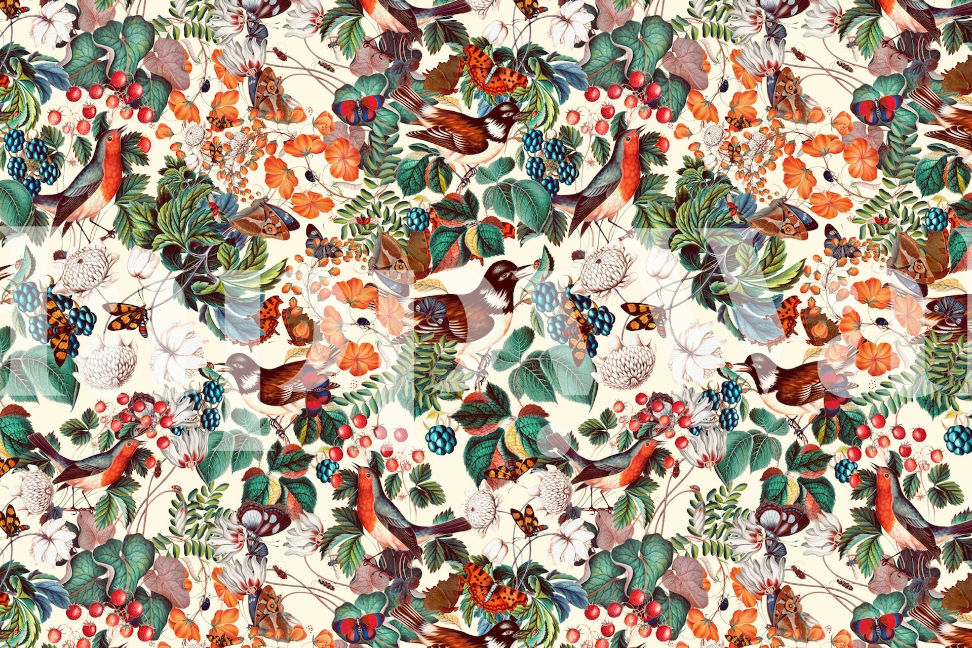 Bird Cosmic Latte wallpaper in a room