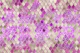 Gold Pink Mermaid Scales Glam 1
