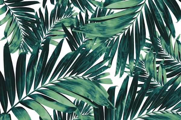Palm Leaves Pattern Love 1
