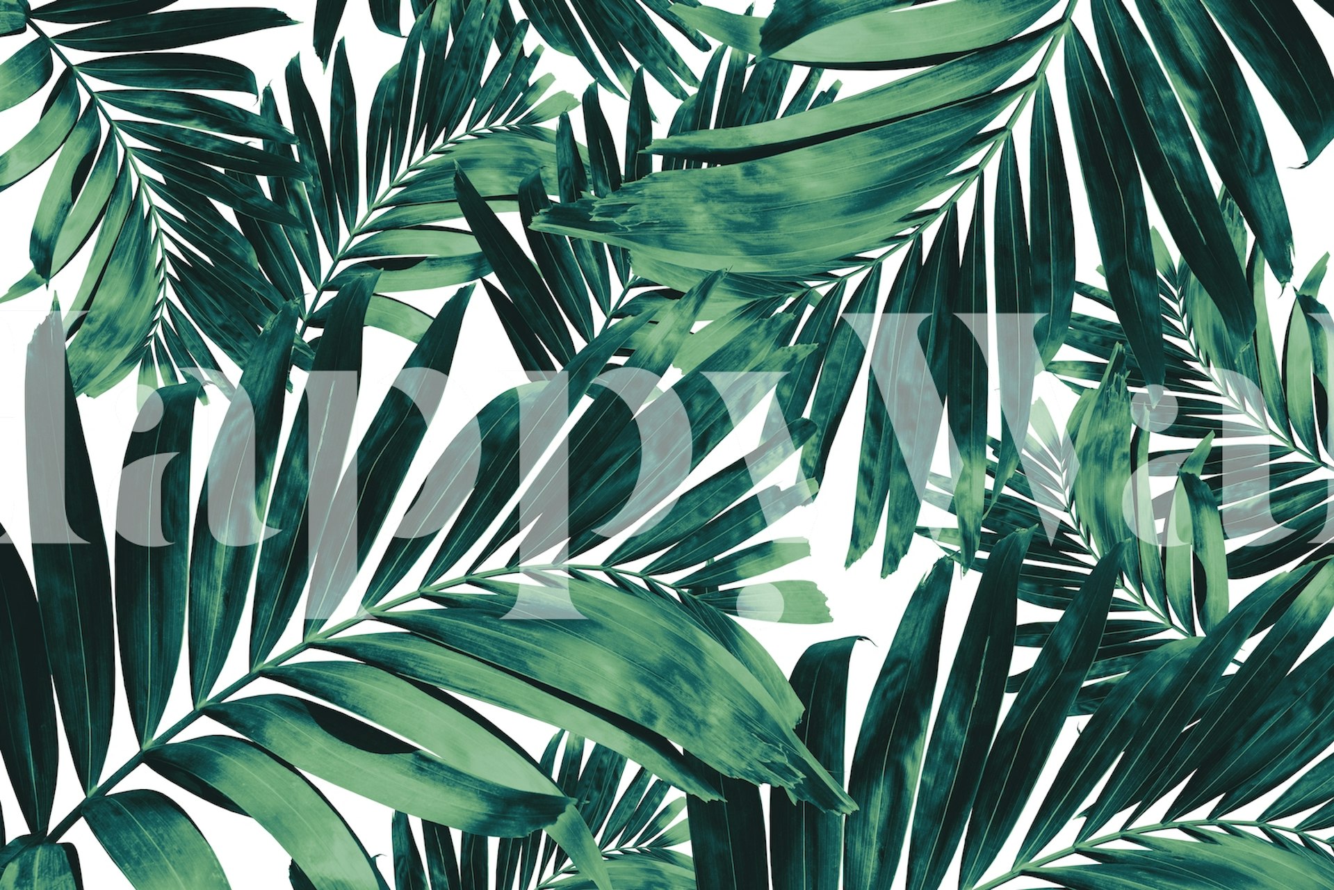 Palm leaves pattern wallpaper in a room
